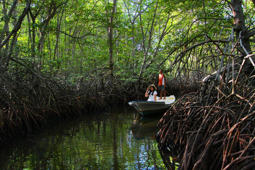Mangrove Paradise Retreat 누사 렘봉안 외부 사진