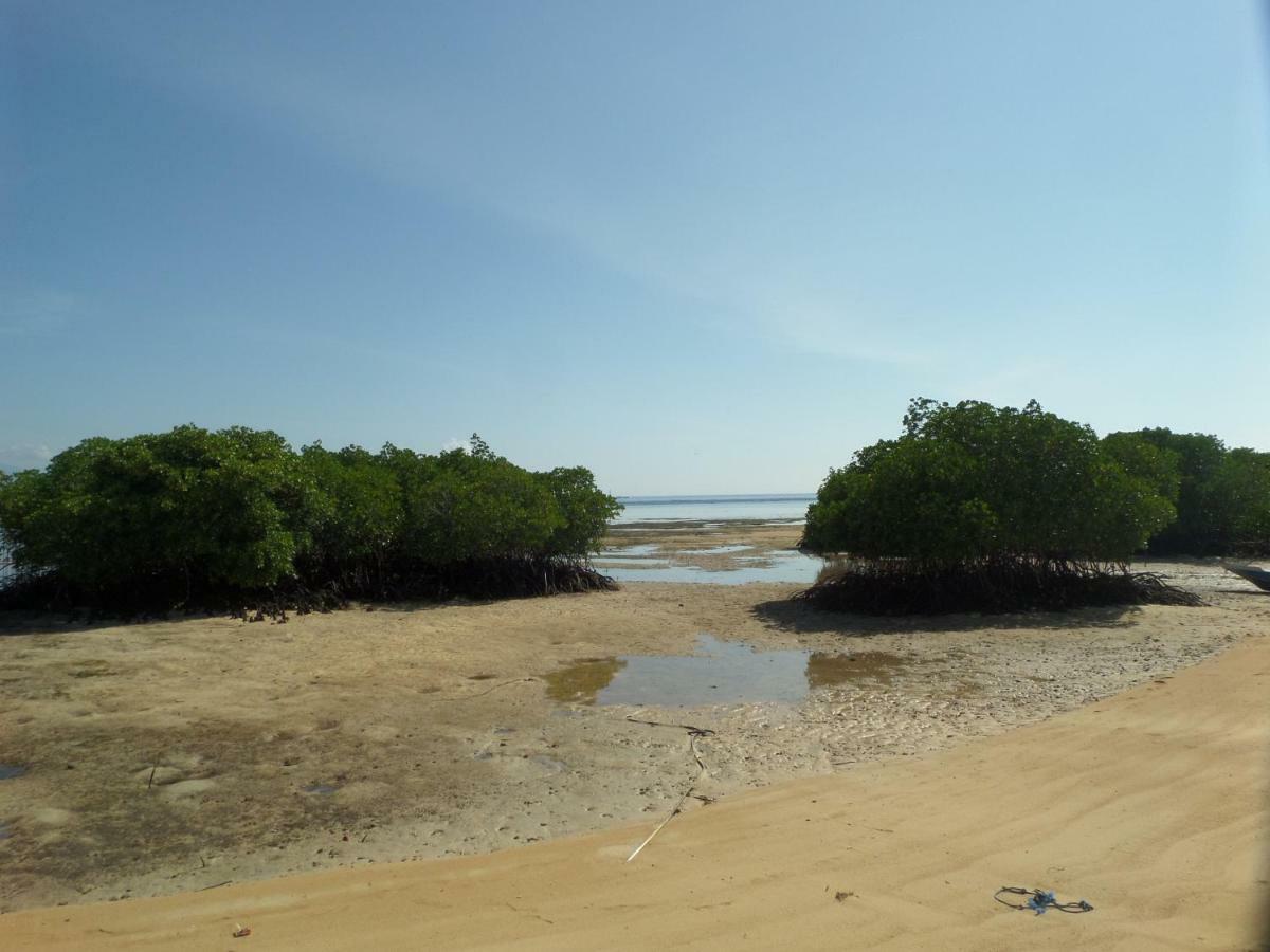 Mangrove Paradise Retreat 누사 렘봉안 외부 사진